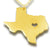 Texas Vintage Ketting