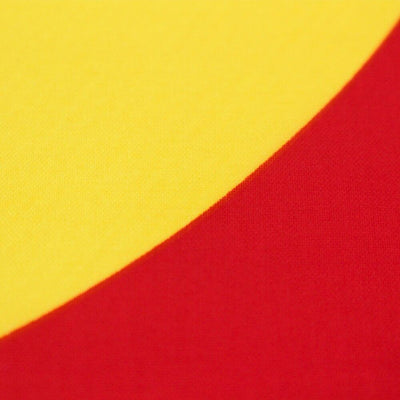 Colorado Vintage Vlag