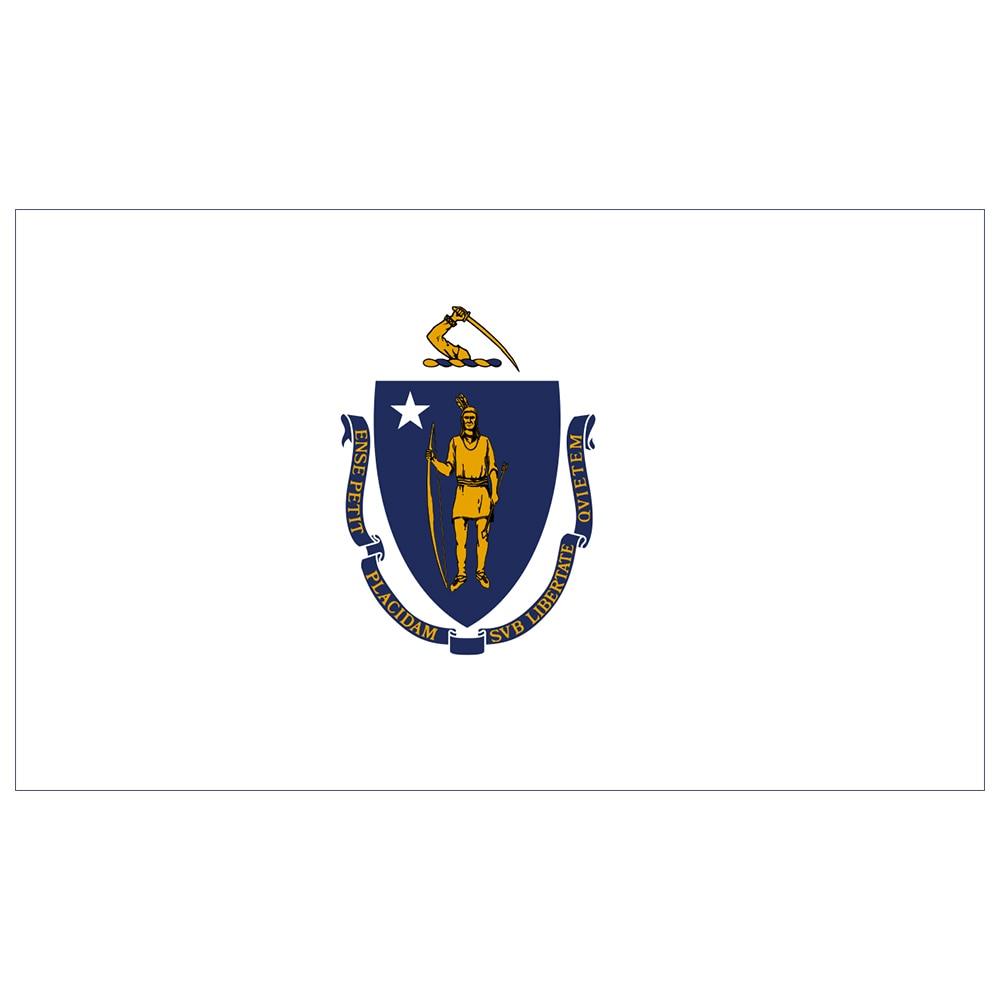 Massachusetts Vintage Vlag