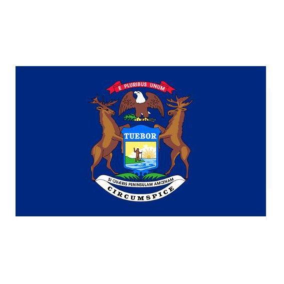 Michigan Vintage Vlag