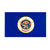 Minnesota Vintage Vlag