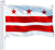 Washington DC Vintage Vlag