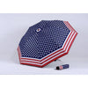 Amerikaanse Vintage Paraplu