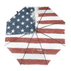 Amerikaanse Vlag Paraplu