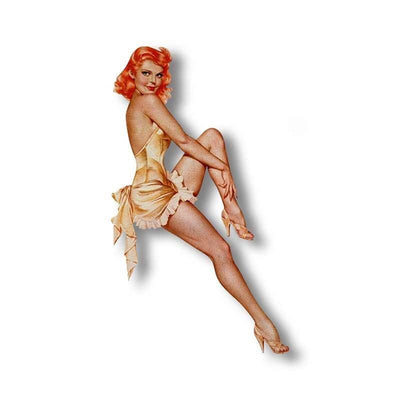 Vintage Pin-Up Stickers Voor Auto's