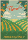 Het Vintage Schilderen Van Florida